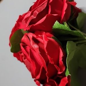 Pottery Barn Red Roses bouquets (2)